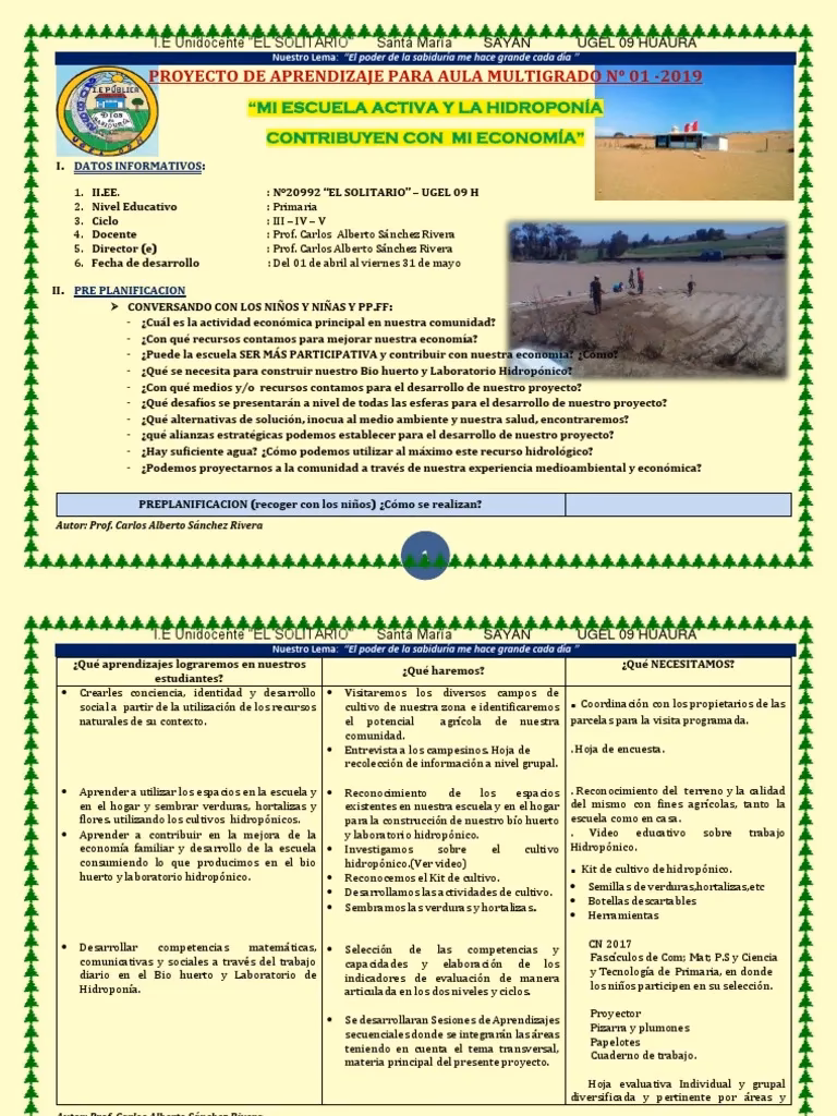 ¿Qué materiales se utilizan para el cultivo hidropónico?