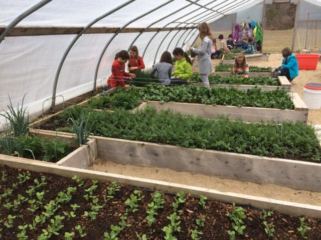 ¿Qué es un medio de cultivo para niños?