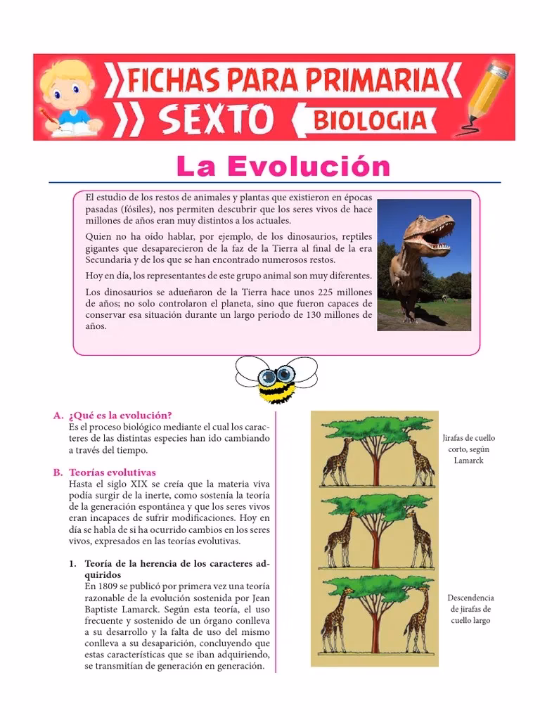 ¿Cómo se puede resumir la teoría de Darwin?