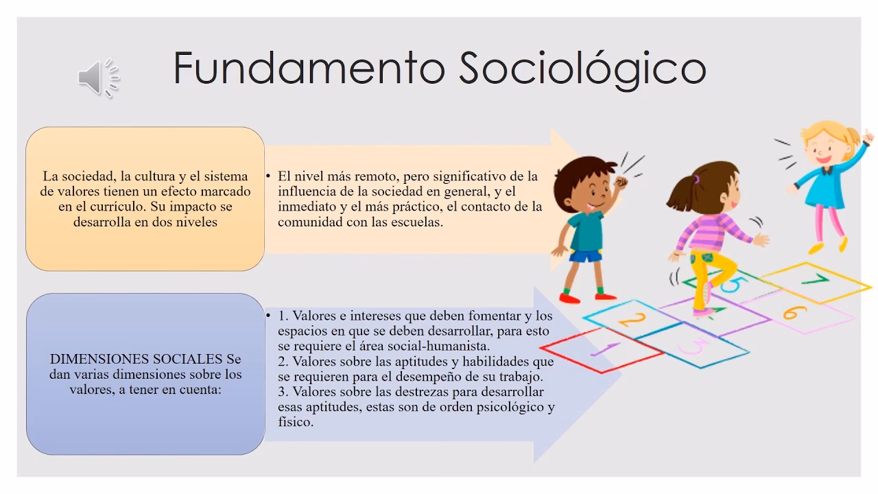 ¿Qué son los fundamentos curriculares en una malla curricular?