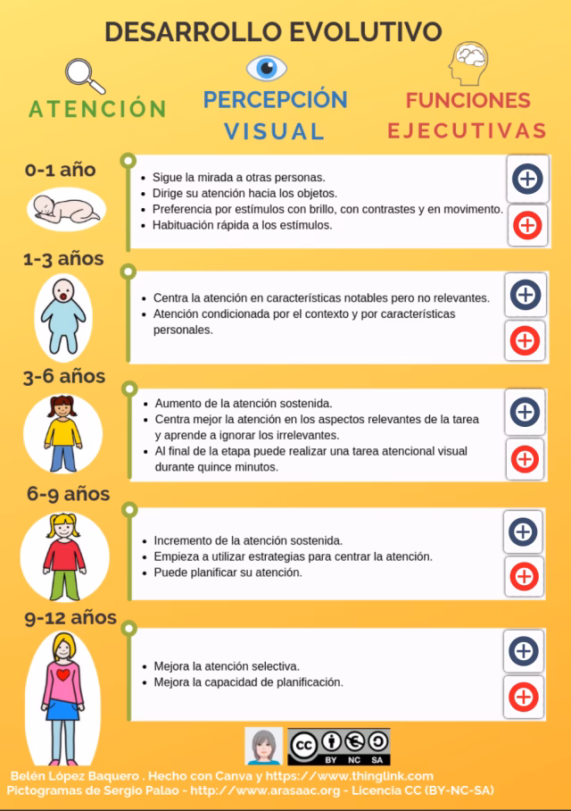 ¿Cuáles son las funciones ejecutivas en educación?