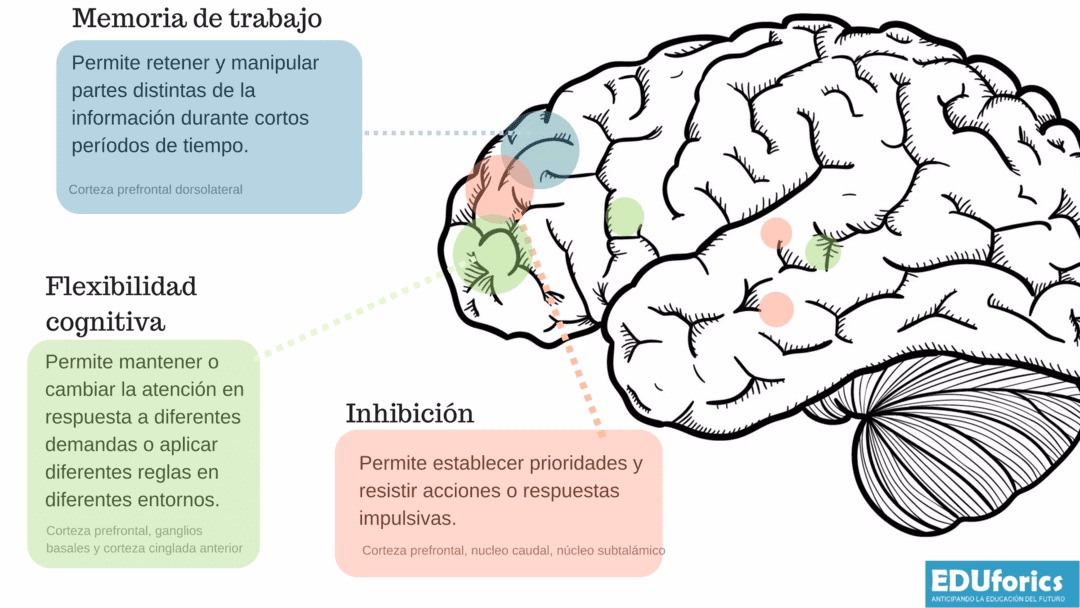 ¿Cómo desarrollar las funciones ejecutivas en el aula?