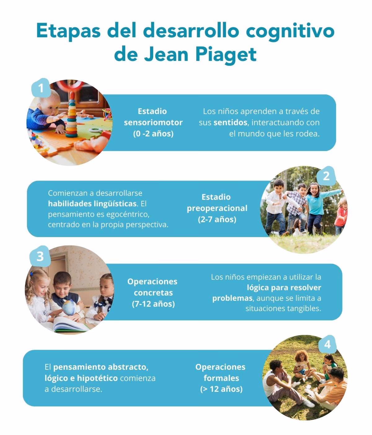 ¿Cuáles son las 4 etapas del desarrollo según Piaget?