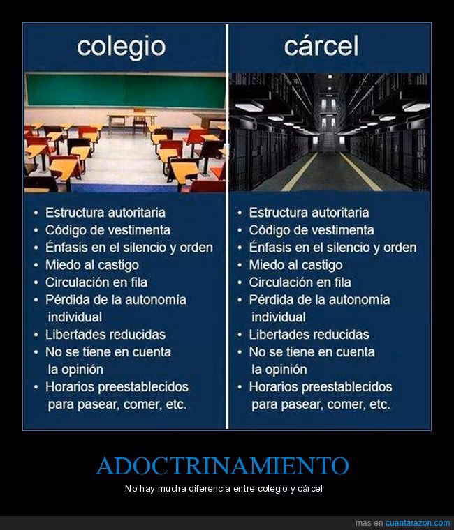 ¿Qué diferencia hay entre colegio, instituto y escuela?