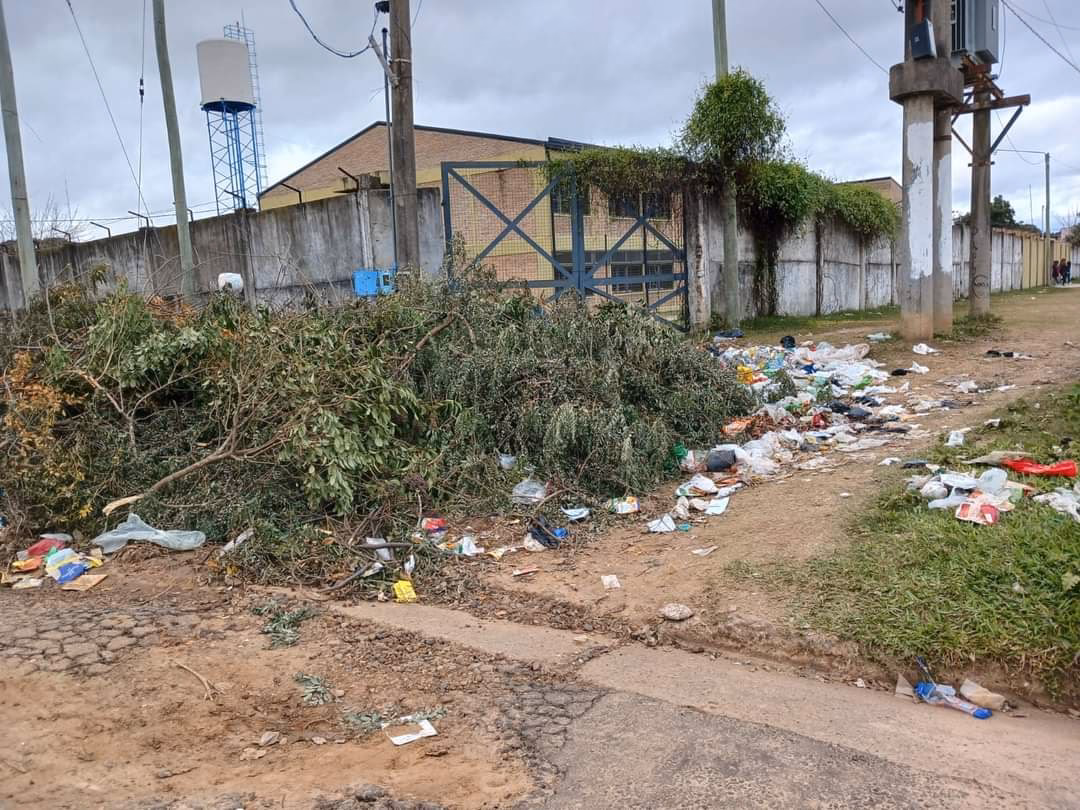 ¿Qué es el manejo de la basura en la escuela?