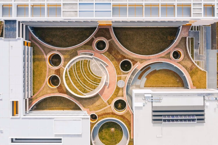 ¿Qué es el paisajismo biofilico?