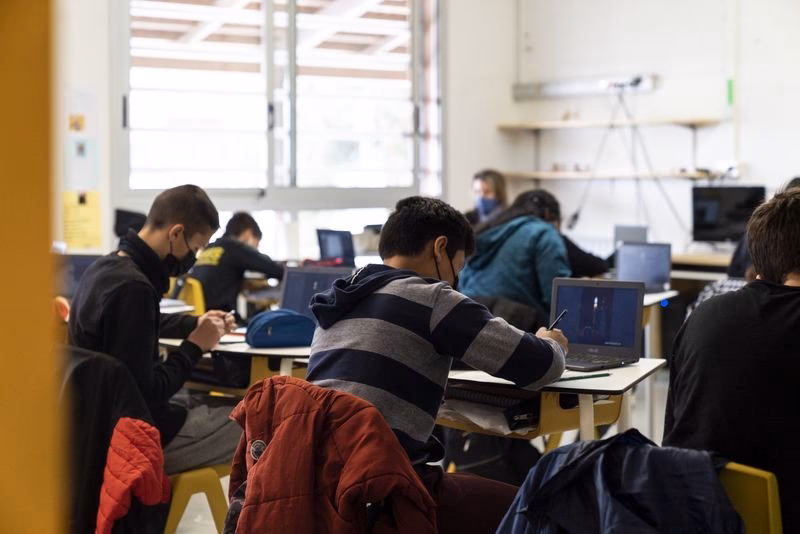 ¿Qué actividades realizan los docentes en un proyecto?