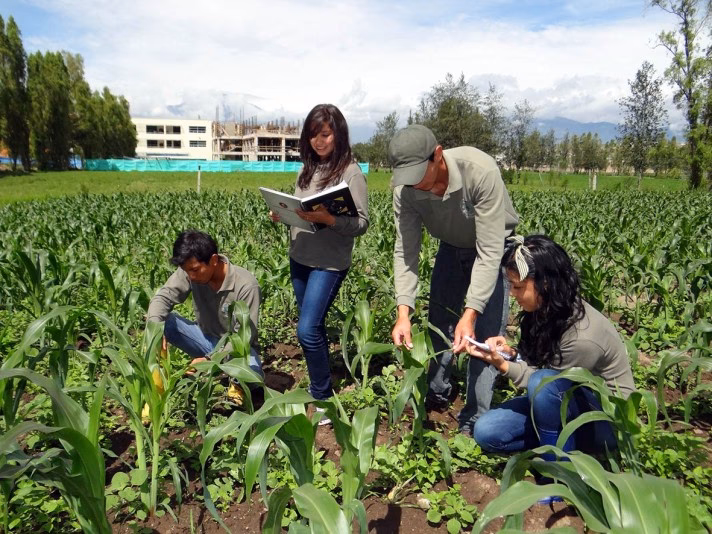 ¿Qué se enseña en la agropecuaria?