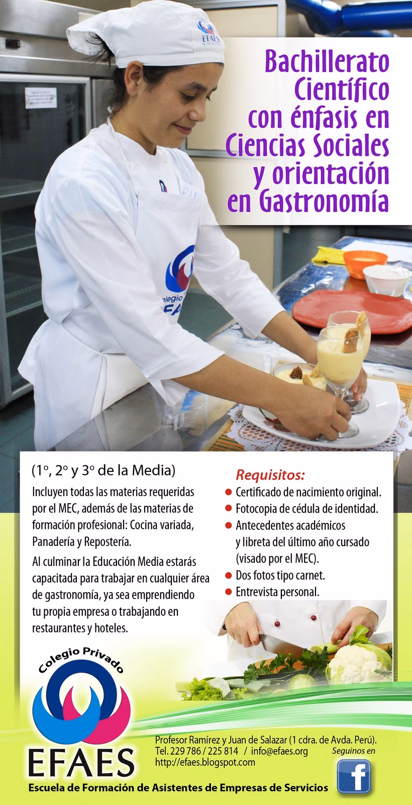 ¿Qué cursos entran en gastronomía?