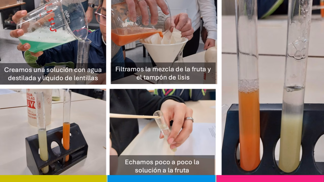 ¿Qué es el ADN para la escuela secundaria?