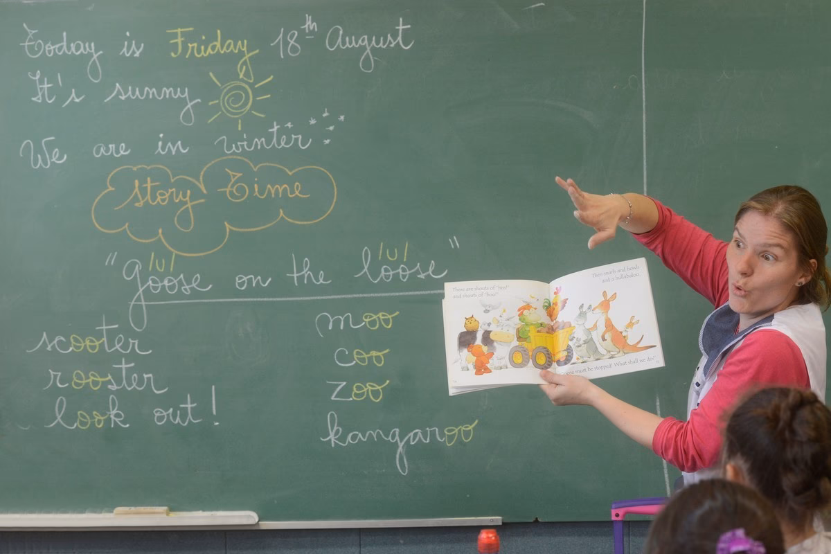 ¿Cuál es el papel del gobierno estatal y local en la educación?