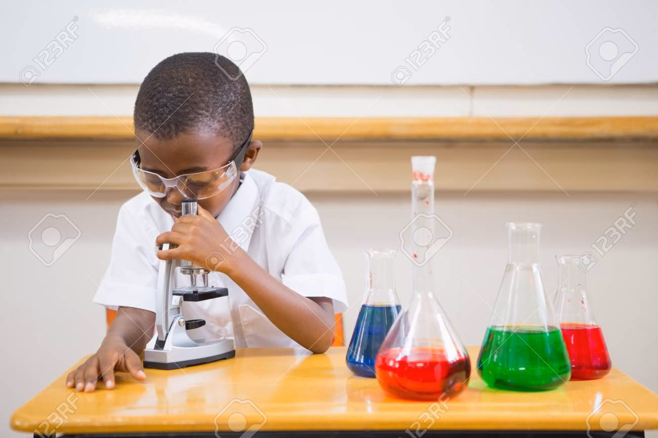 ¿Cuál es la función del microscopio escolar?