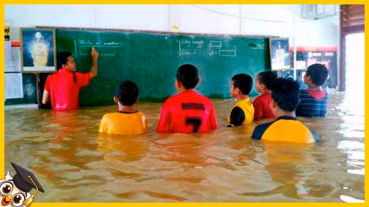 ¿Cuál es la escuela más rara del mundo?