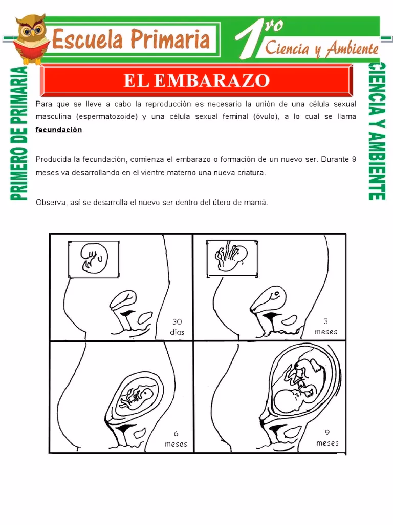¿Qué formulario tengo que presentar en Anses por embarazo?