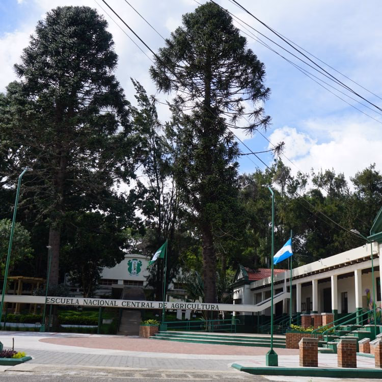 ¿Qué carreras ofrece la ENCA?