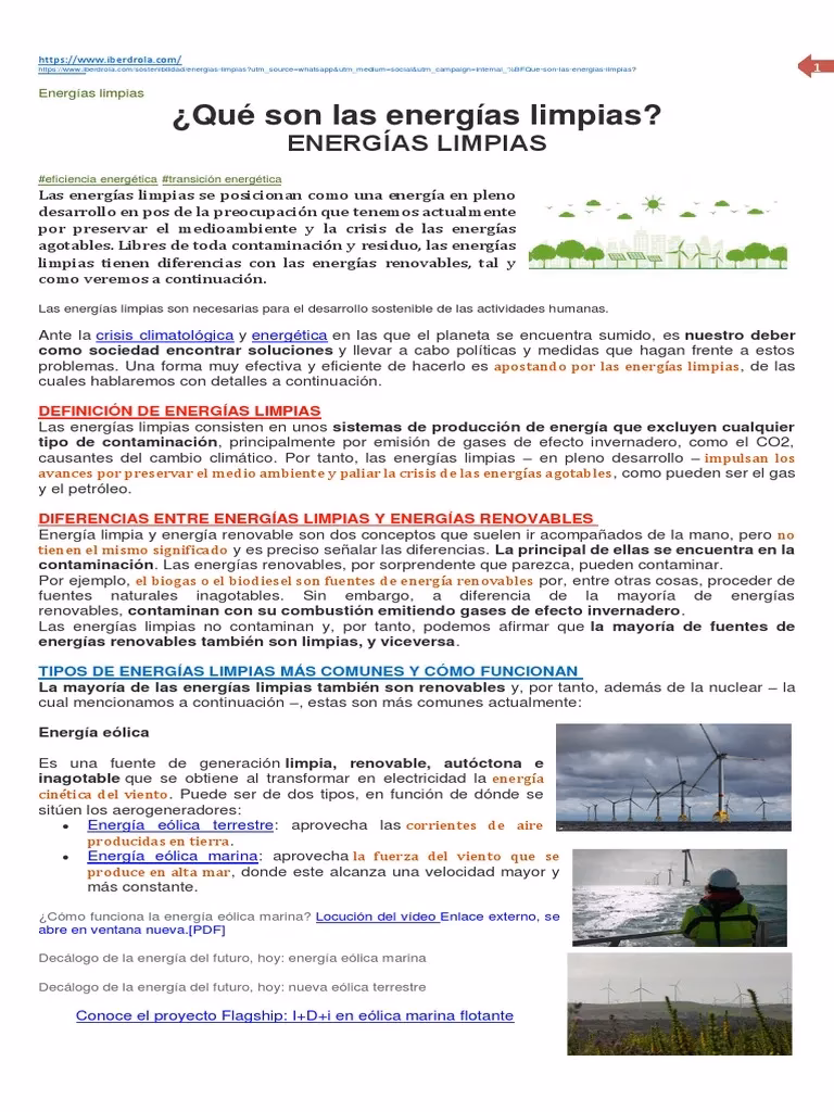 ¿Qué son las energías renovables según los autores?