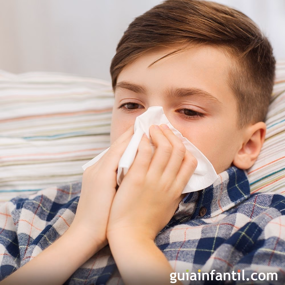 ¿Cuáles son 5 enfermedades contagiosas?