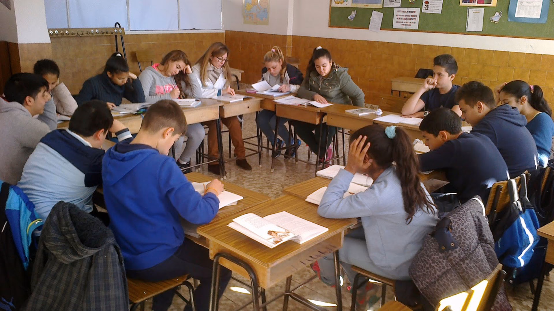 ¿Cuáles son los objetivos de la enseñanza literaria?