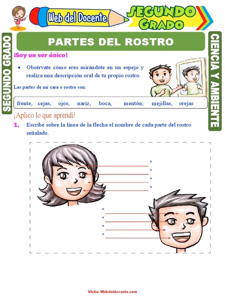 ¿Cuál es la importancia del rostro en la figura humana?