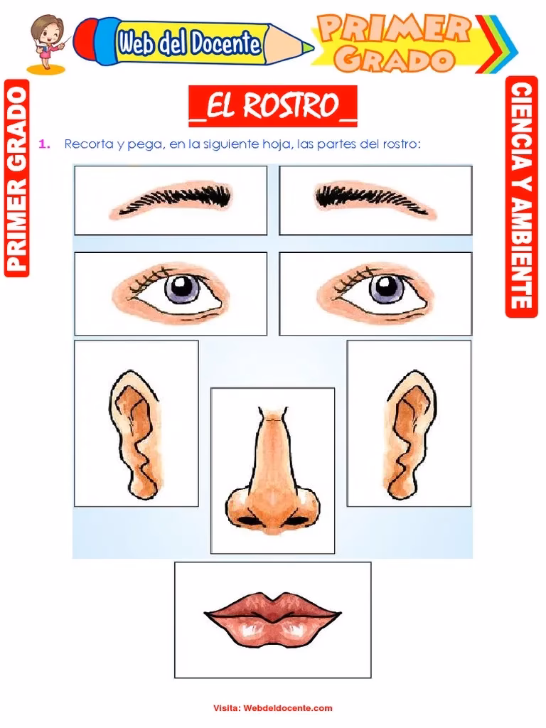 ¿Qué es lo más importante del rostro?
