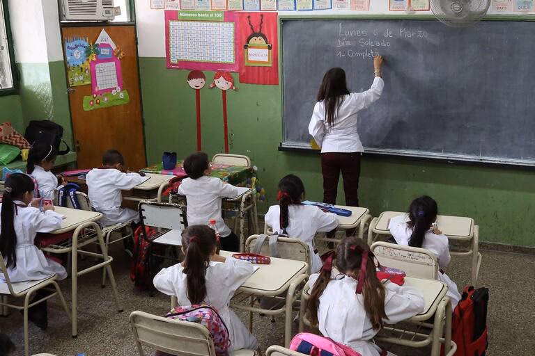 ¿Quién puede ser profesor de primaria?