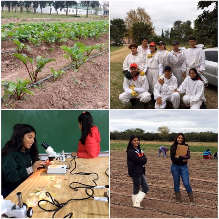 ¿Cuántas escuelas agrotécnicas hay en Argentina?