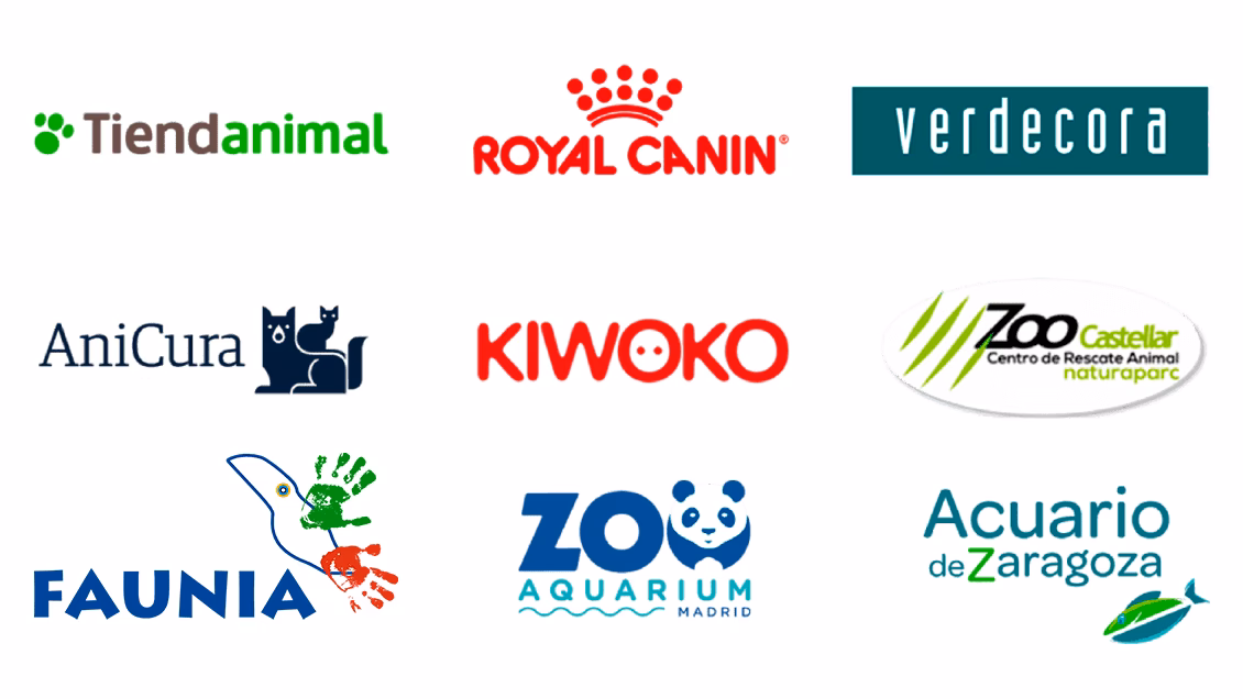 ¿Qué tengo que estudiar si quiero trabajar con animales?