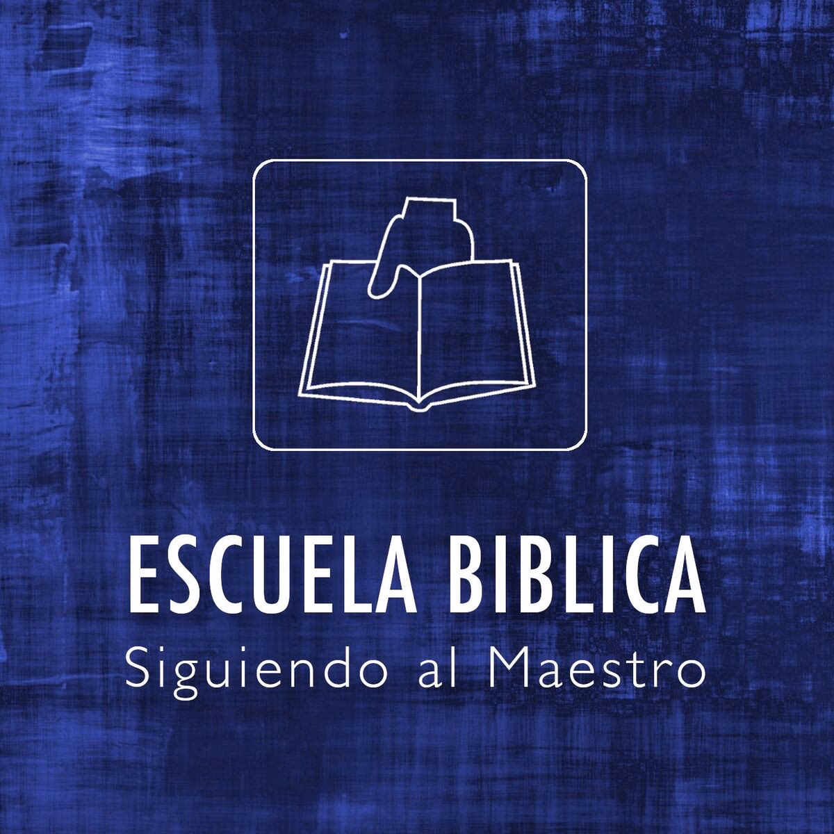 ¿Cuáles son los 4 principios para estudiar la Biblia?