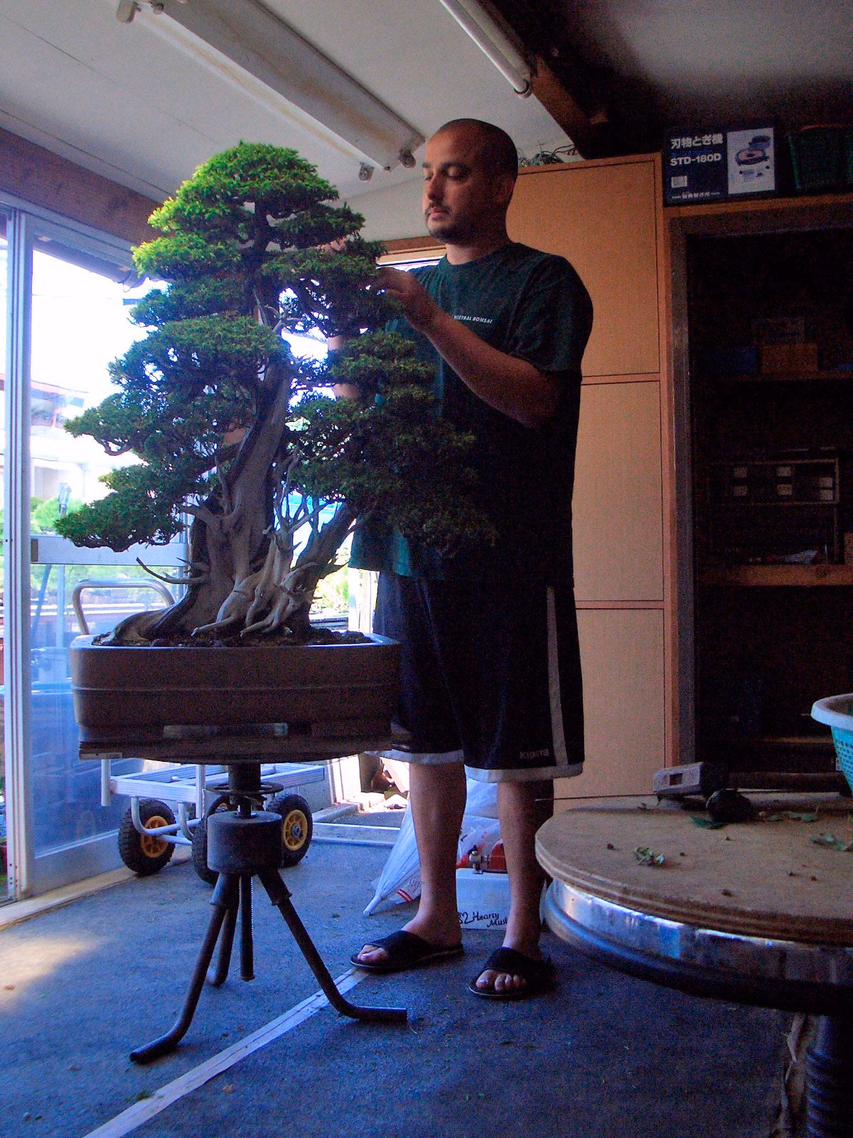 ¿Qué es el método bonsái para estudiar?