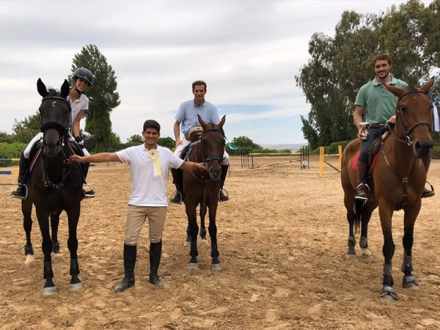 ¿Qué son las escuelas de equitación?