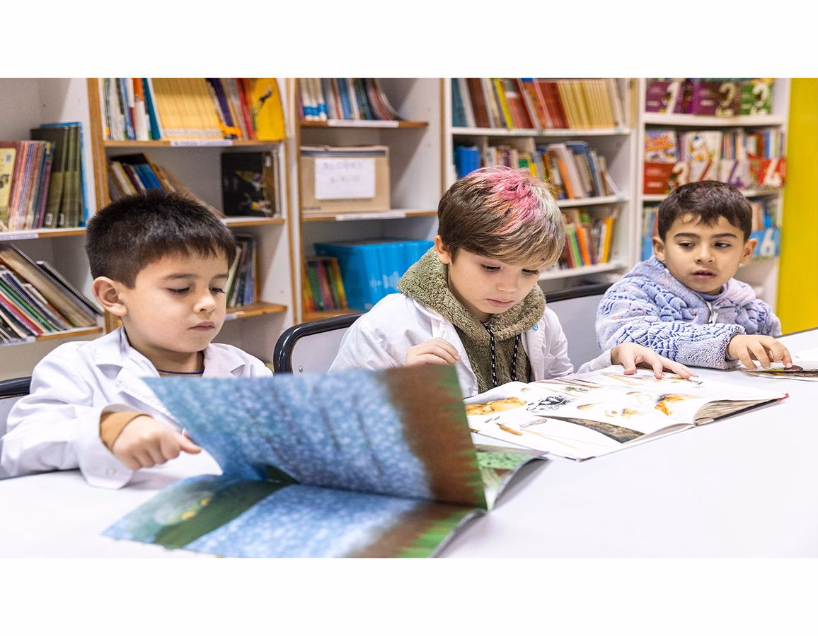 ¿Qué es el CFE en Argentina?