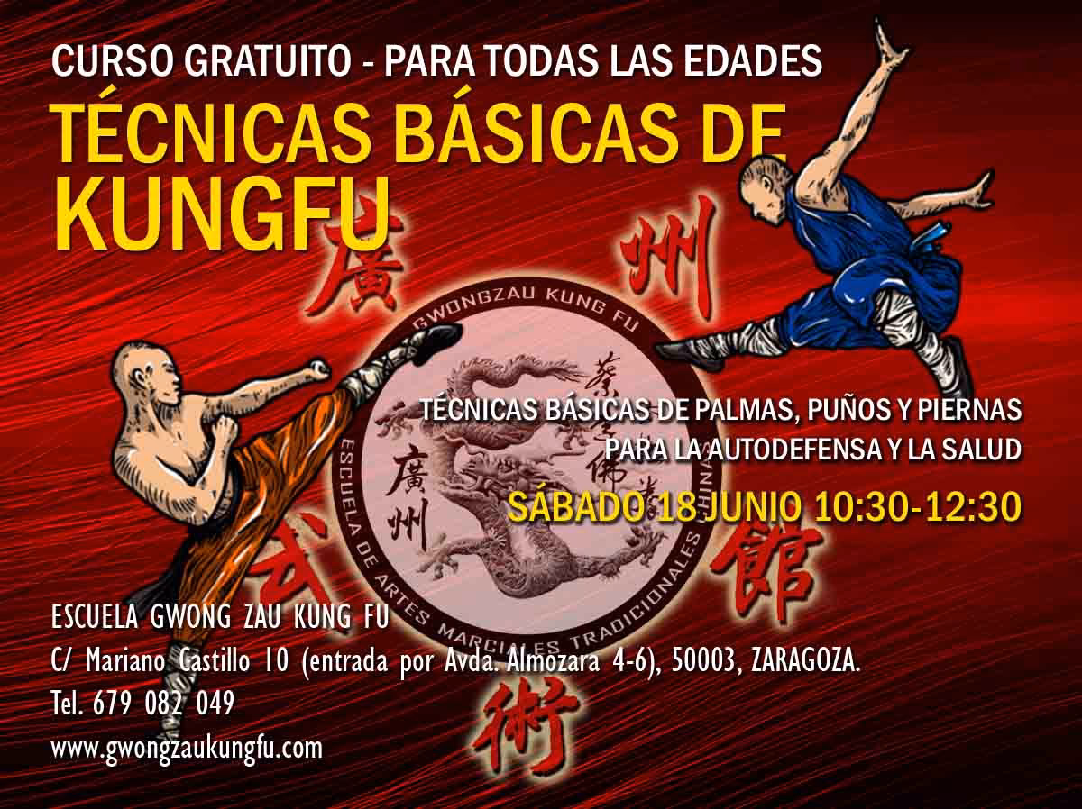 ¿Cuánto cuesta aprender Kung Fu?