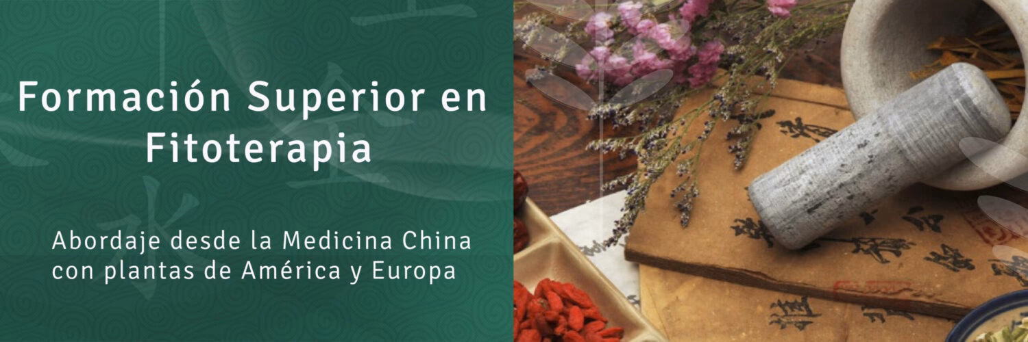 ¿Qué se necesita para estudiar medicina china?