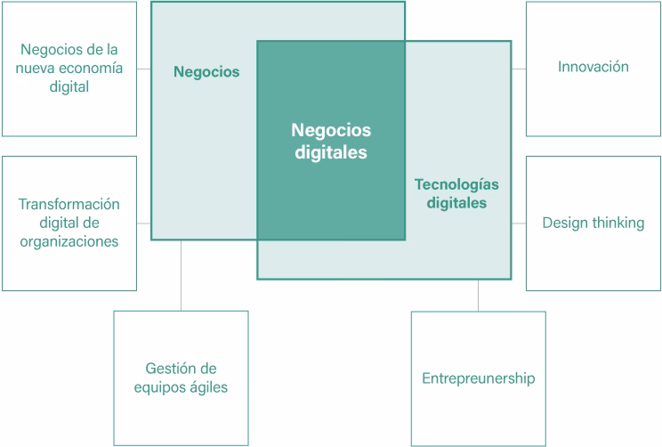 ¿Dónde puedo estudiar Negocios Digitales online en Argentina?