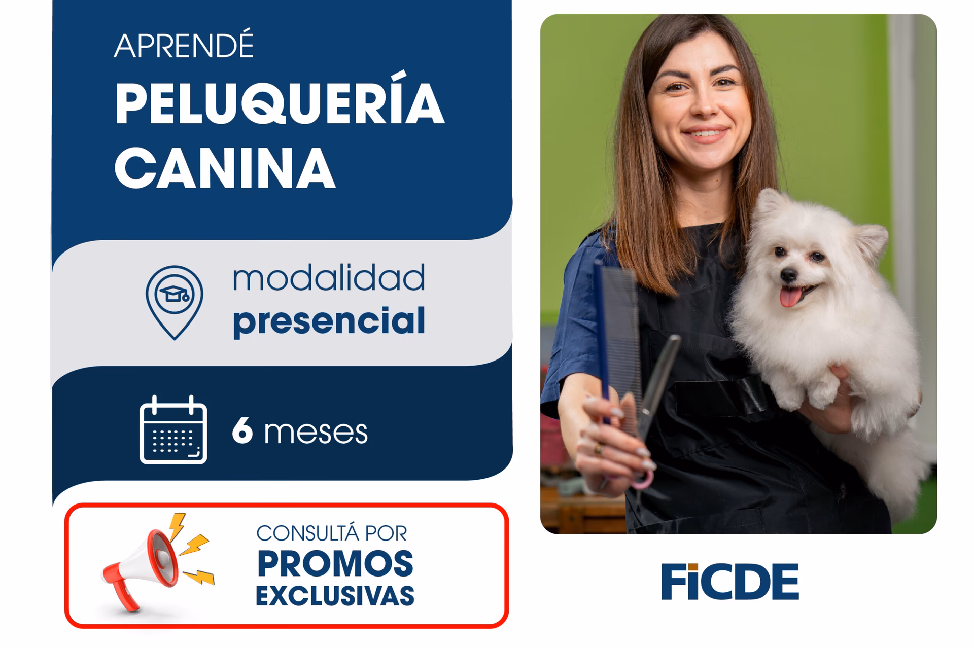 ¿Cuánto cuesta el curso de peluquería canina?