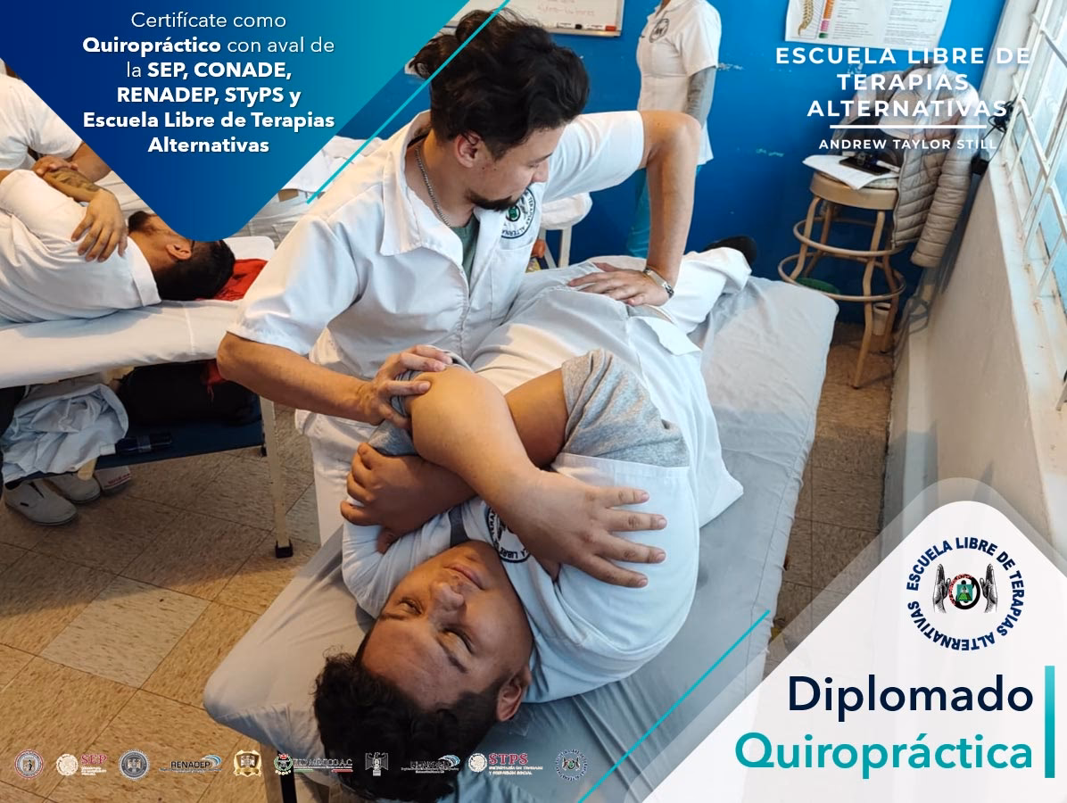 ¿Cuánto cuesta un curso de quiropraxia?