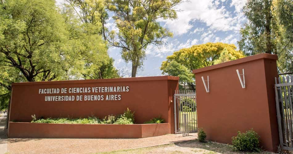 ¿Dónde estudiar la carrera de veterinaria en Buenos Aires?
