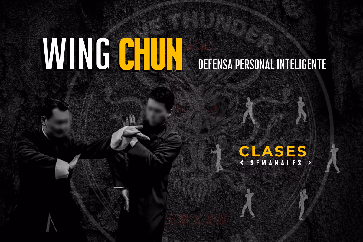 ¿Cuánto tiempo se tarda en aprender Wing Chun?