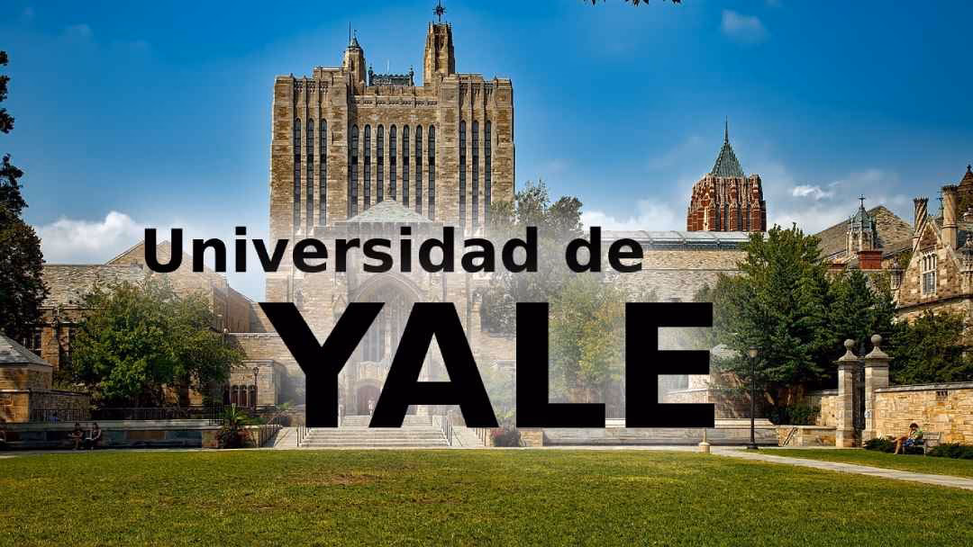 ¿Qué carreras se estudian en Yale?