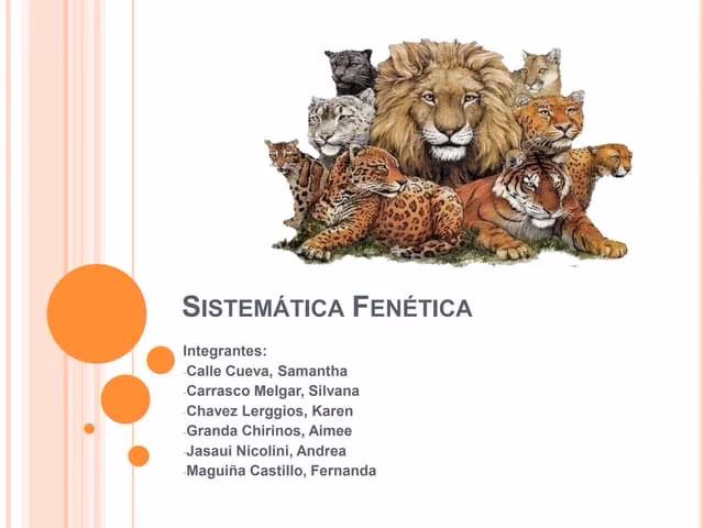 ¿Qué es el feneticismo?