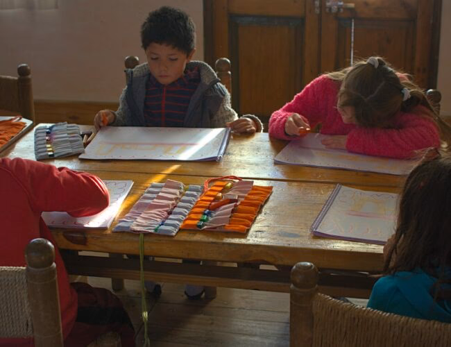 ¿Qué tipo de colegio es el Terraustral del Sol?