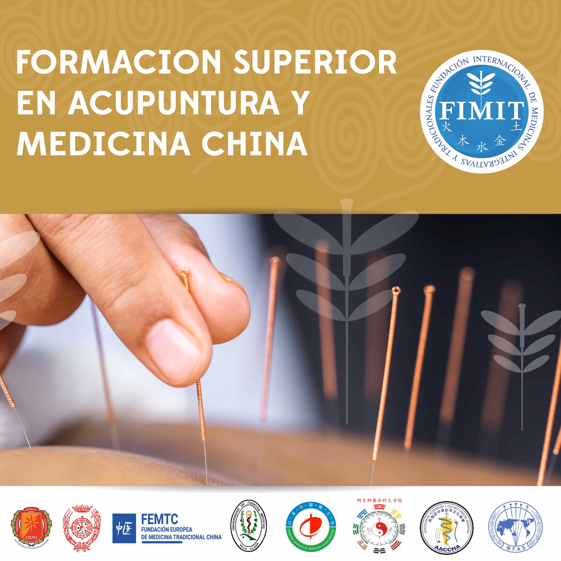 ¿Cuánto tiempo se tarda en aprender medicina china?