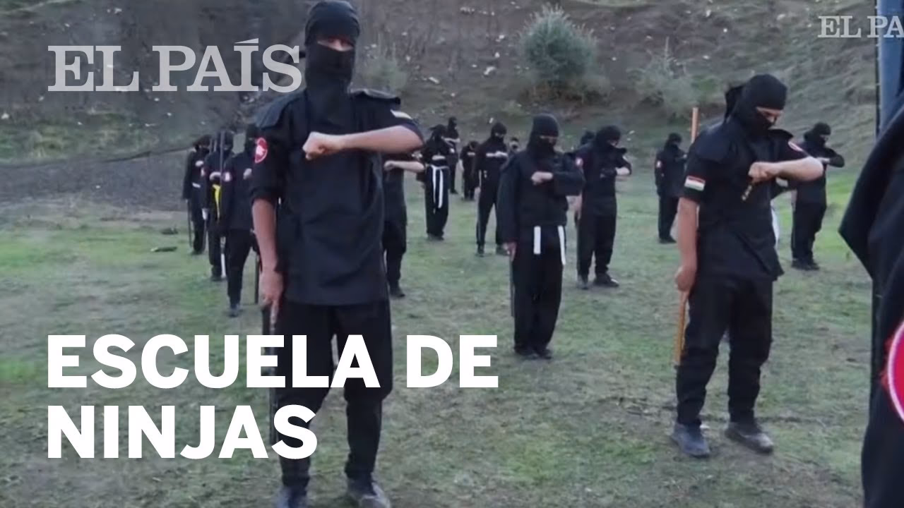 ¿Qué es una escuela ninja?