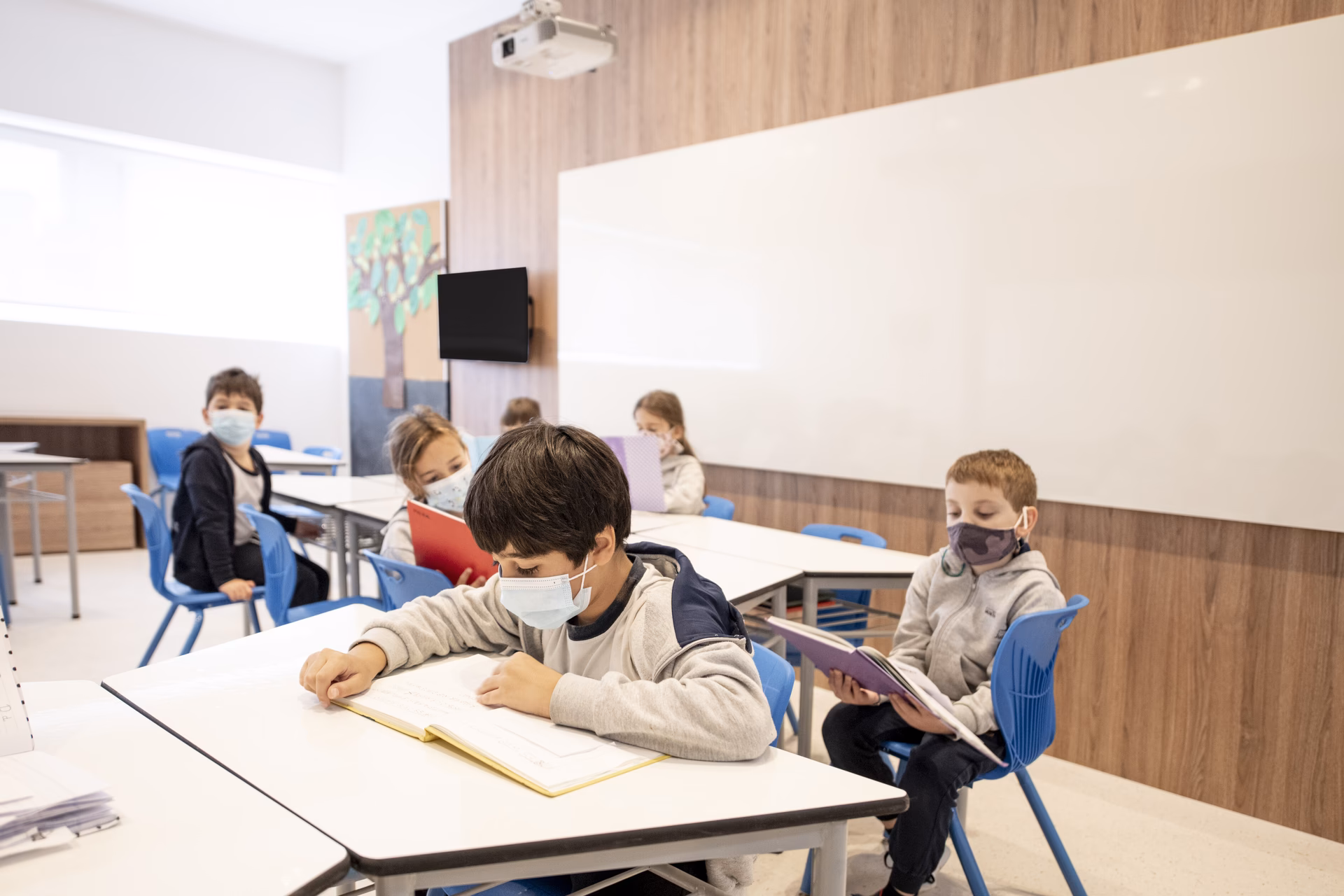 ¿Quién es Arlene Fern?