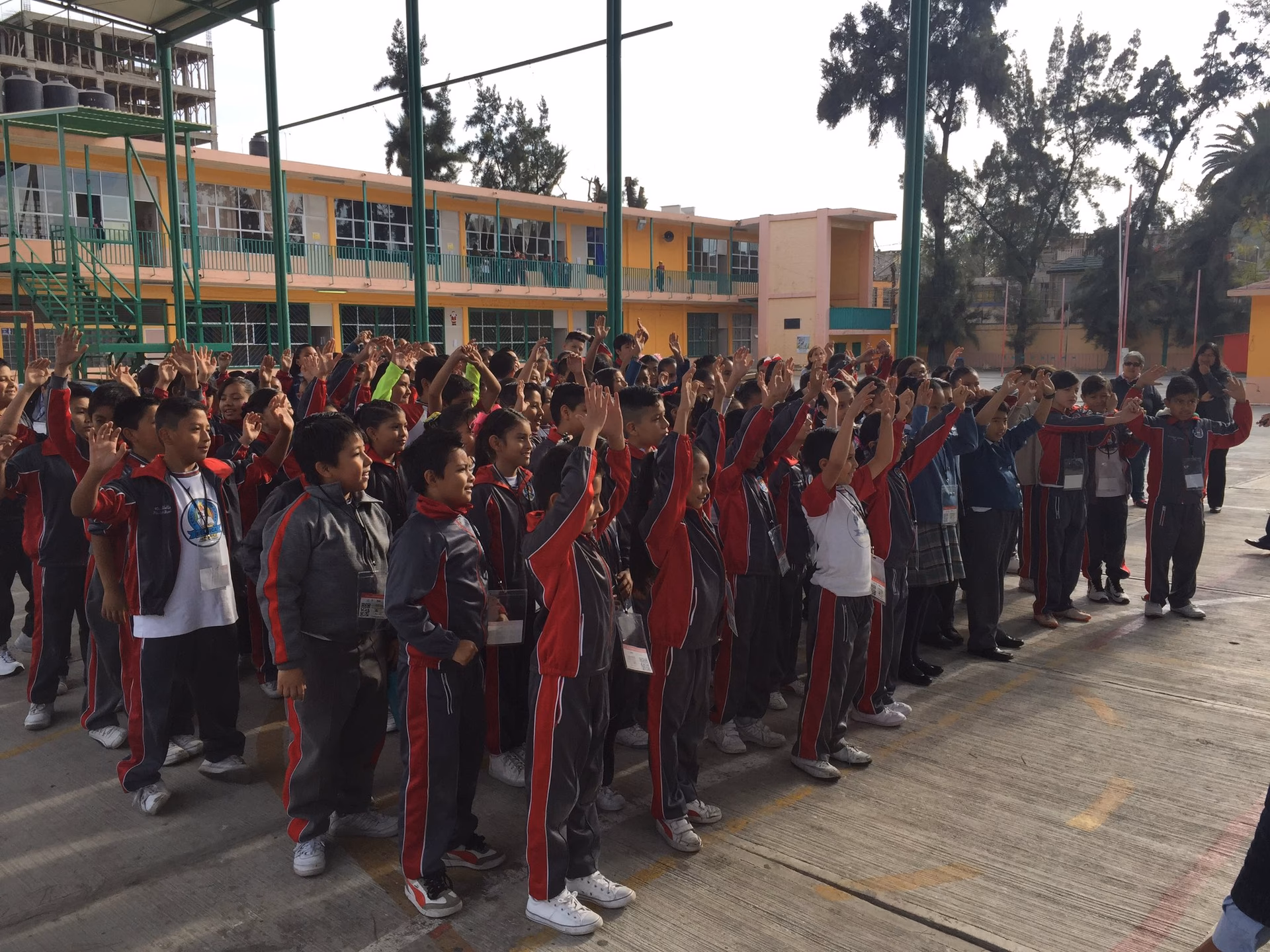 ¿Qué edad tiene la escuela primaria en Bélgica?