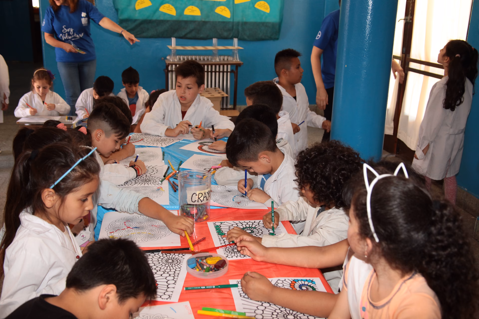 ¿Qué materias se enseñan en ciencias en primaria?