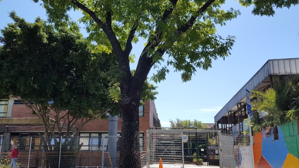 ¿Cómo se puede explicar la luz?