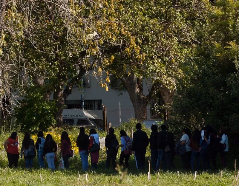 ¿Qué se estudia en Agronomía UBA?