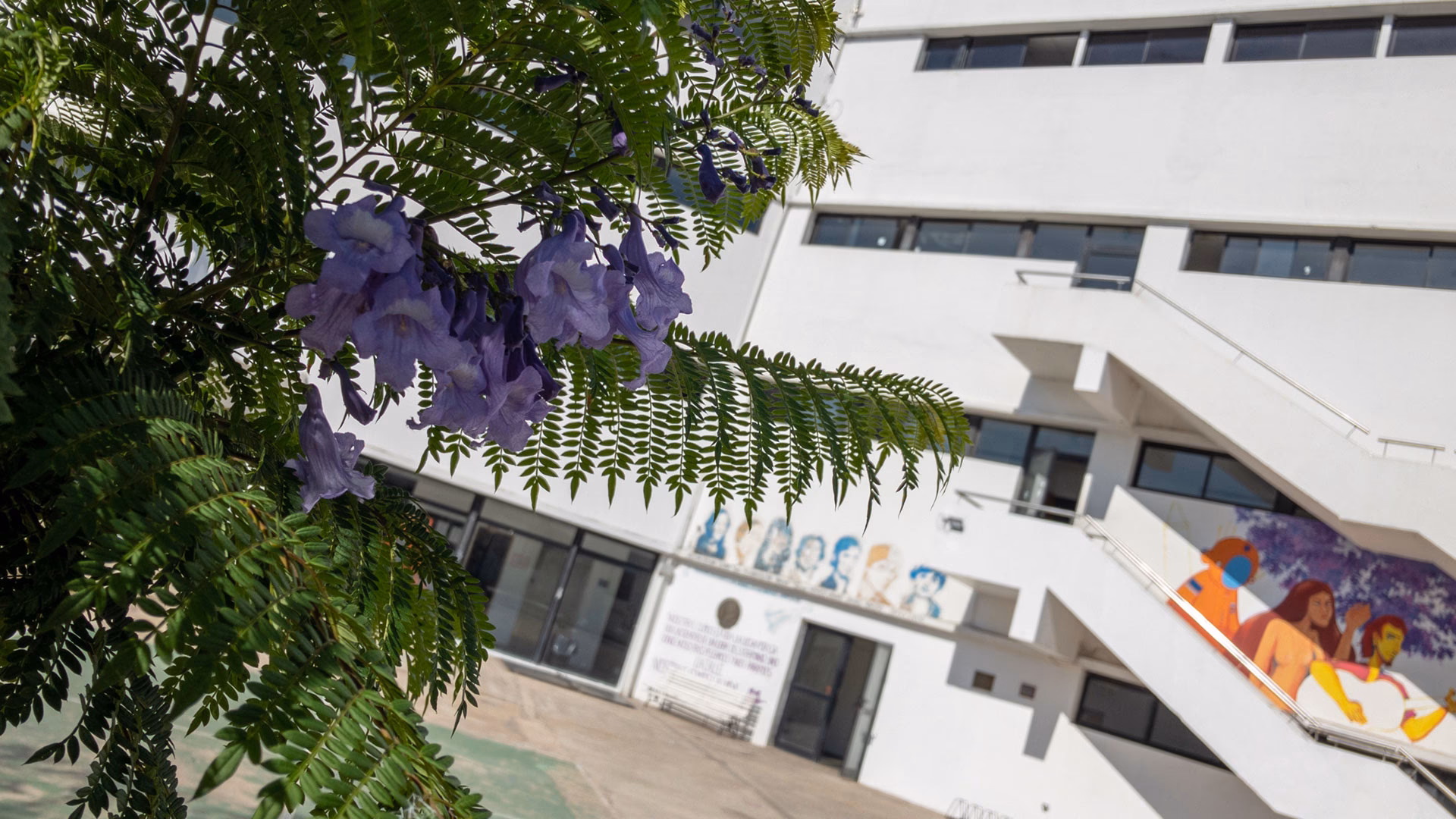 ¿Qué es bachiller en artes visuales?