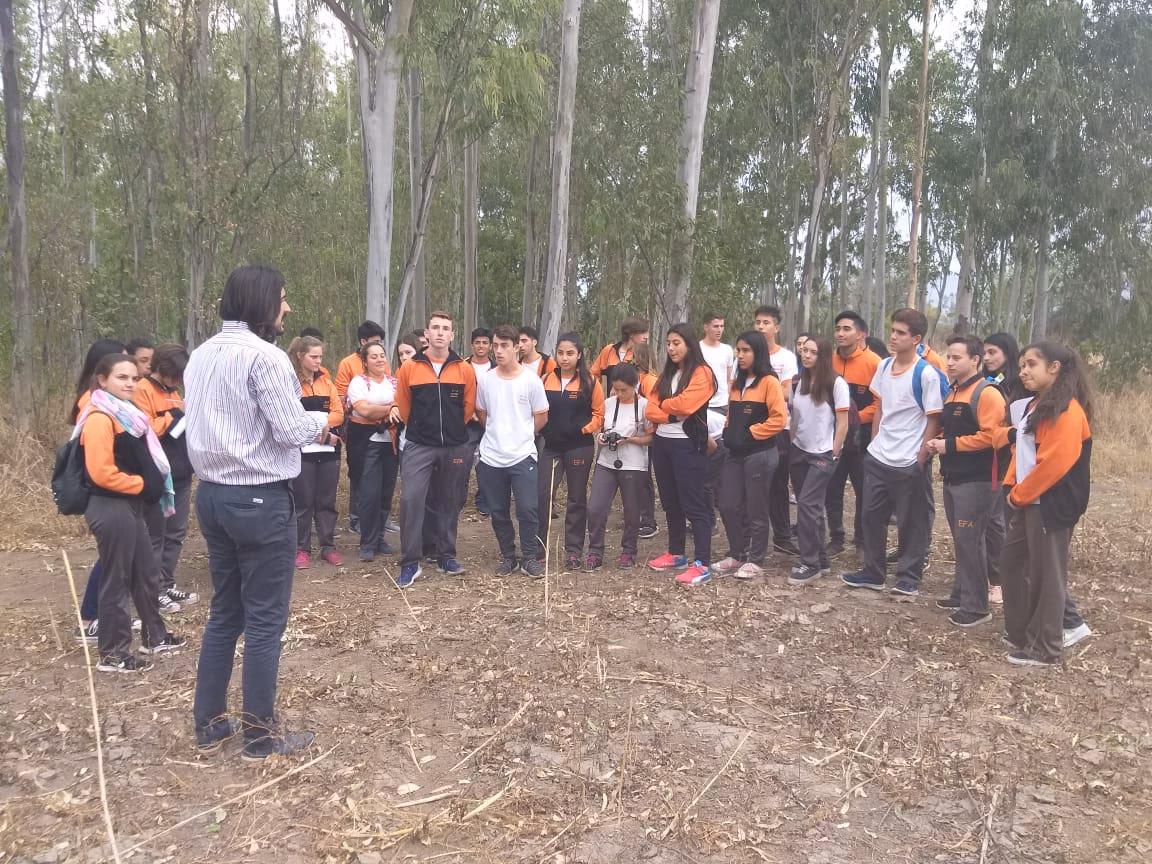 ¿Cuántas efa hay en Argentina?